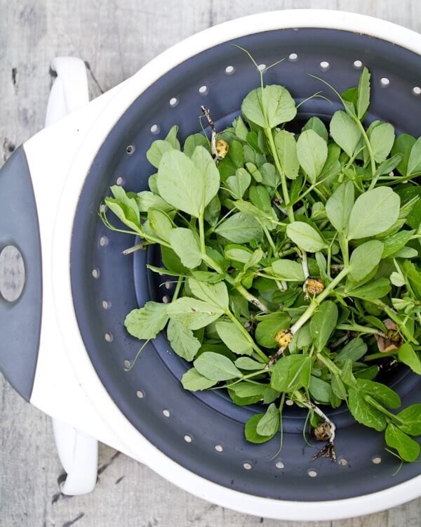 Mediterranean veggie sandwich -- pea shoots for greens!