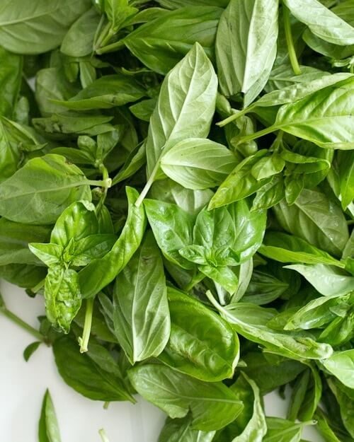 Chiffonade