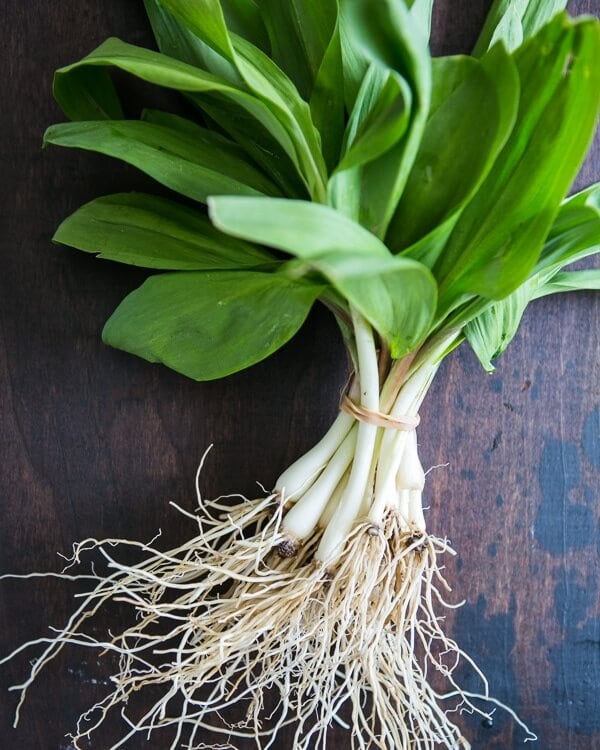 Bunch of ramps