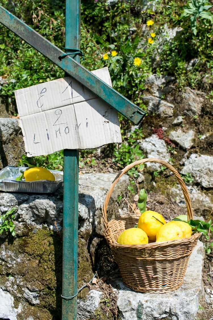 Amalfi Coast Italy | Positano | Lemons