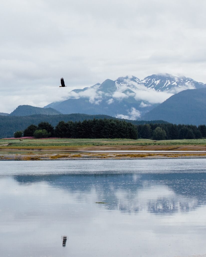 Juneau, Alaska | A Couple Cooks