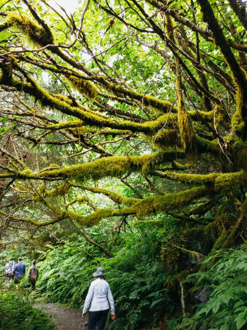 Juneau, Alaska | A Couple Cooks