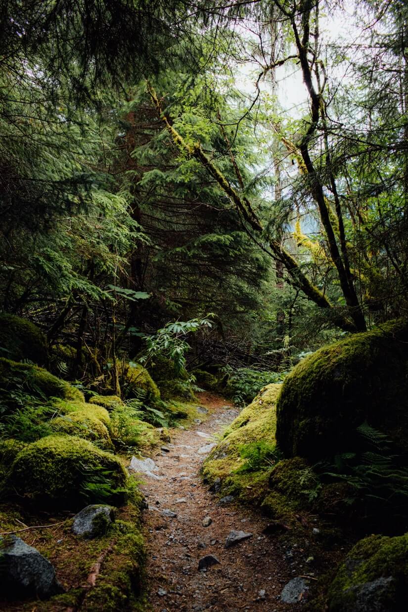 Juneau, Alaska | A Couple Cooks