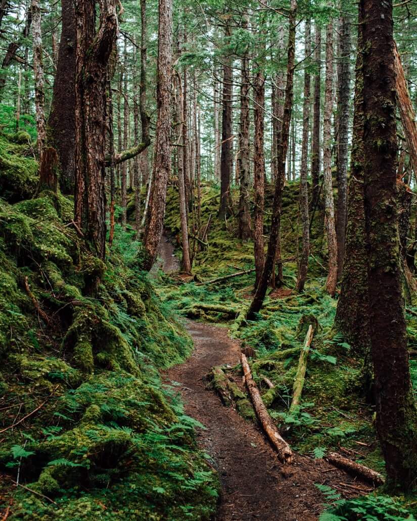Juneau, Alaska | A Couple Cooks