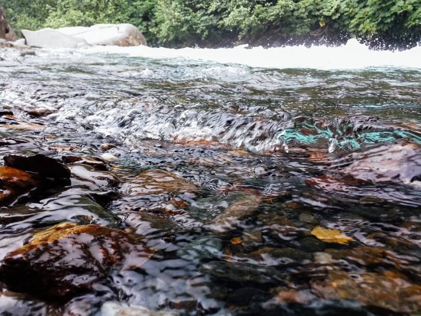 Juneau, Alaska | A Couple Cooks