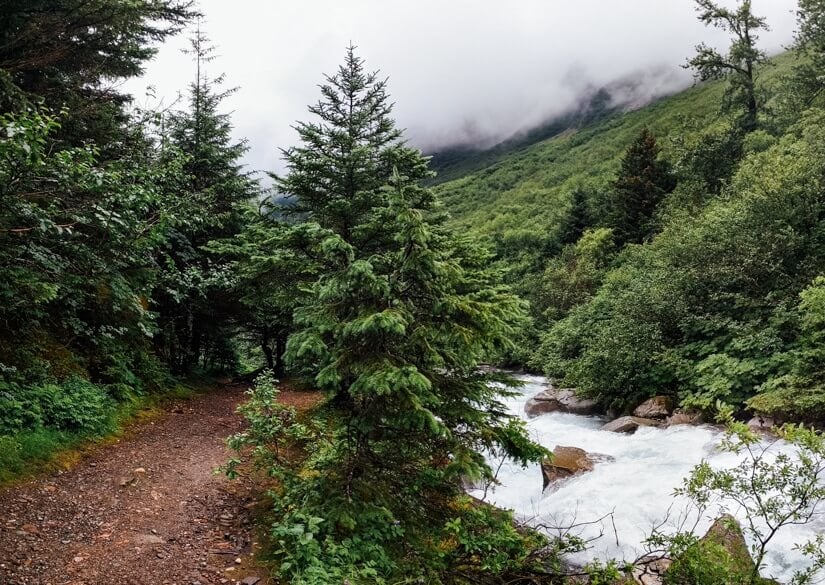 Juneau, Alaska | A Couple Cooks