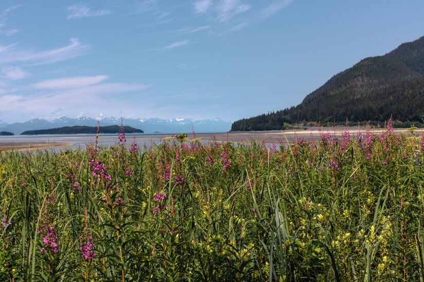 Juneau, Alaska | A Couple Cooks