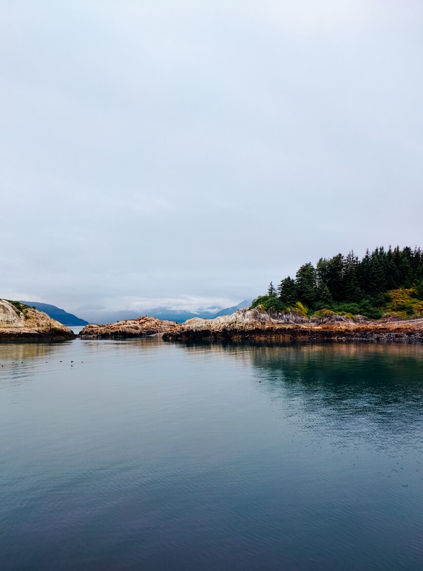 What to Do in Skagway & Glacier Bay Alaska | Glacier Bay National Park