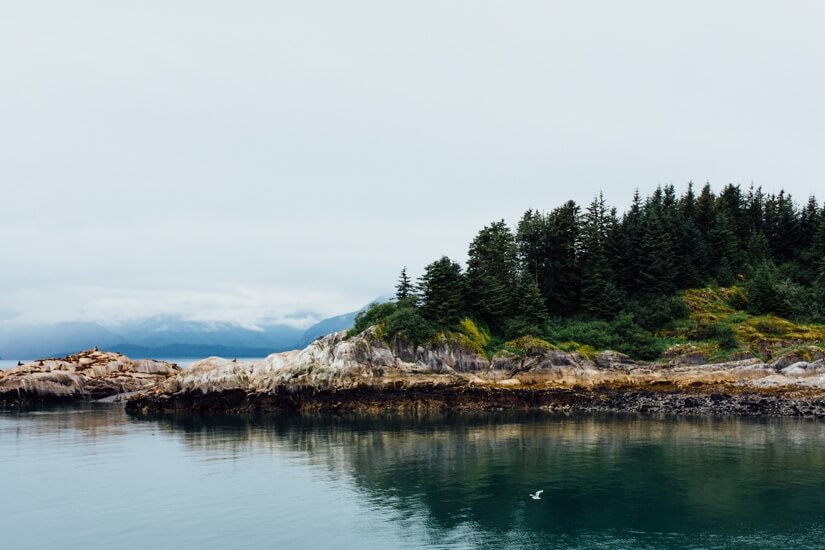 Things to Do in Skagway & Glacier Bay Alaska | Glacier Bay National Park