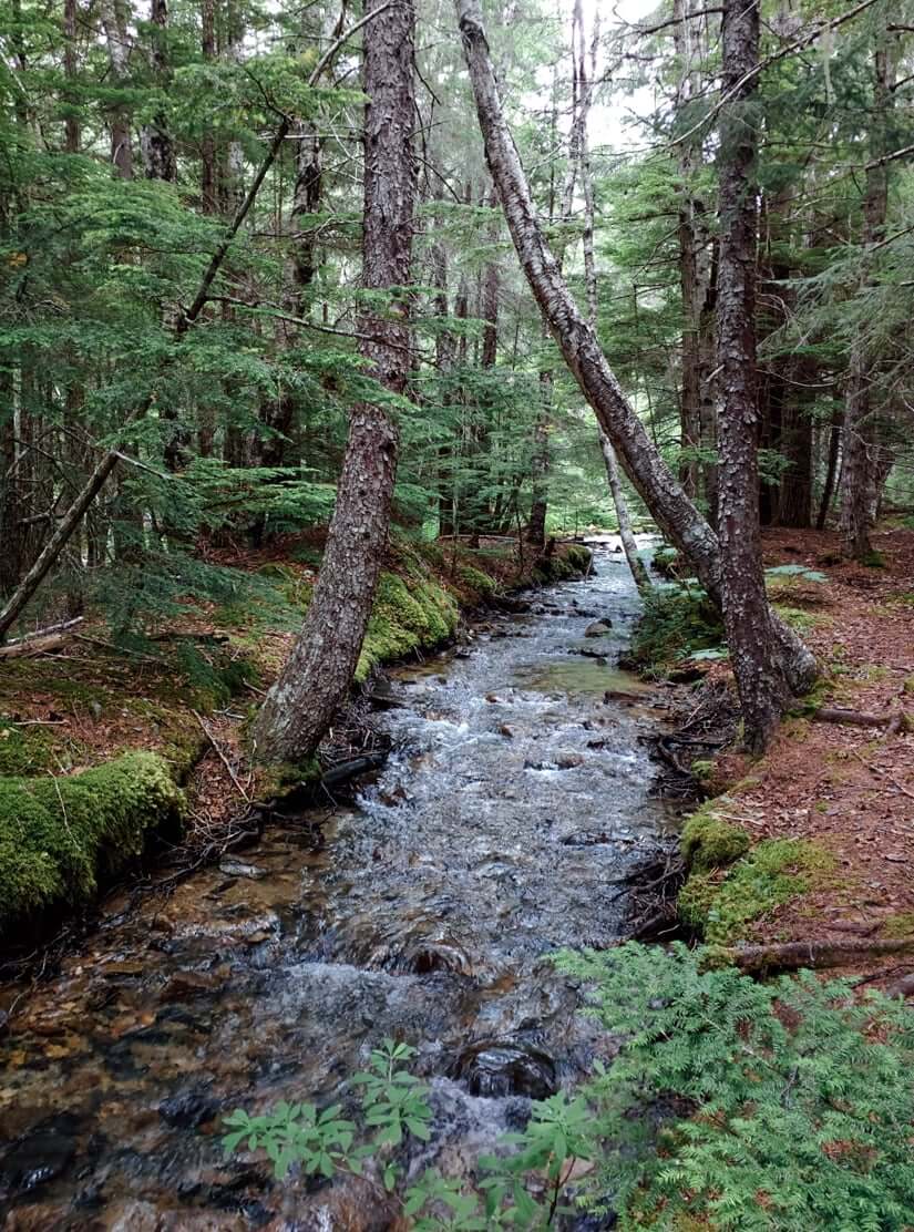 Things to do in Skagway Alaska