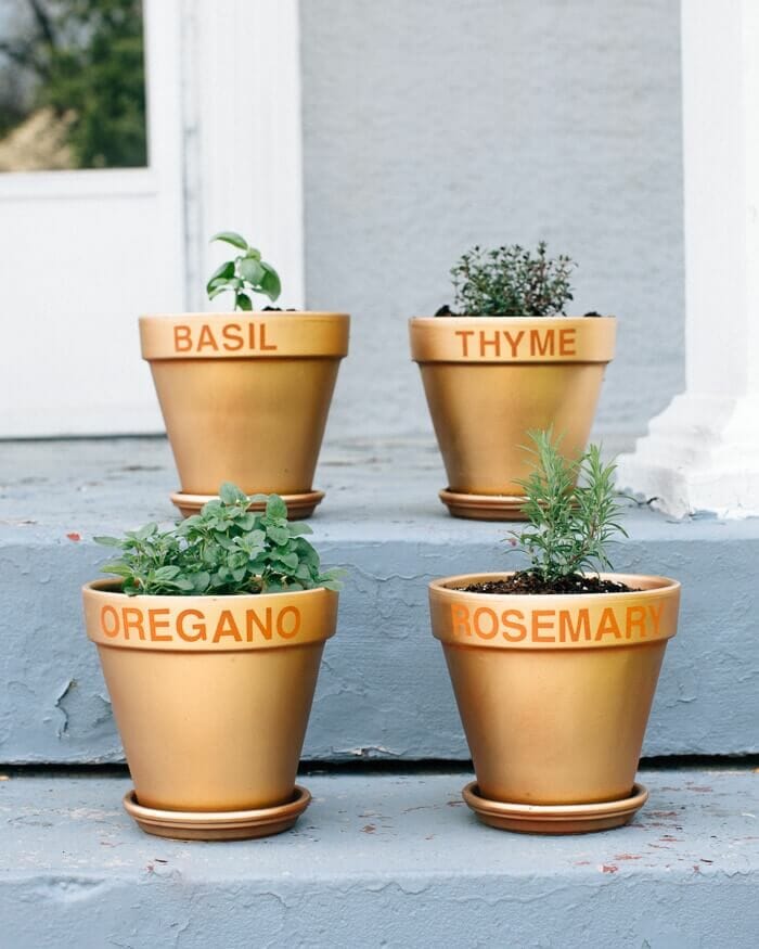 How to Grow Herbs | A Couple Cooks