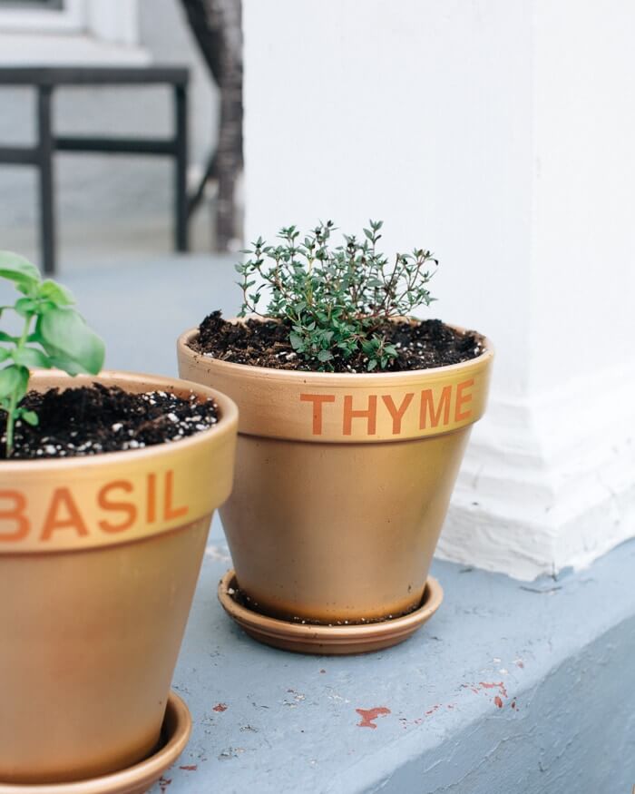 How to Grow Herbs | A Couple Cooks