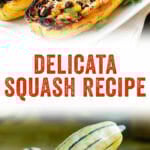 Delicata Squash