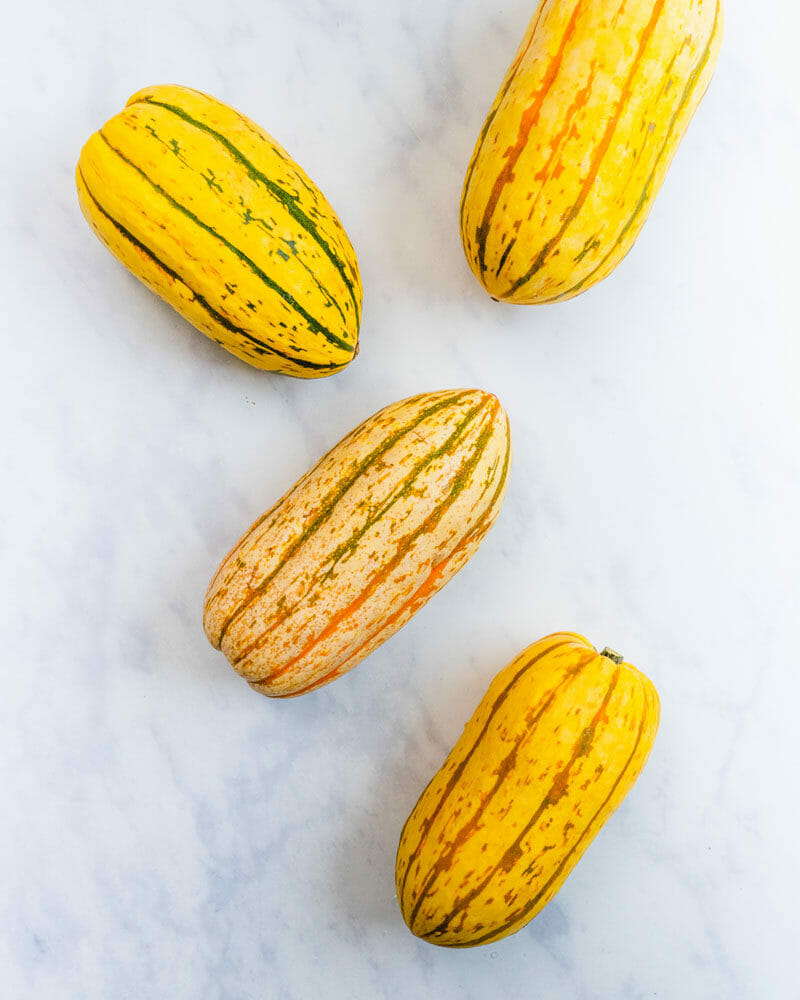 Delicata squash