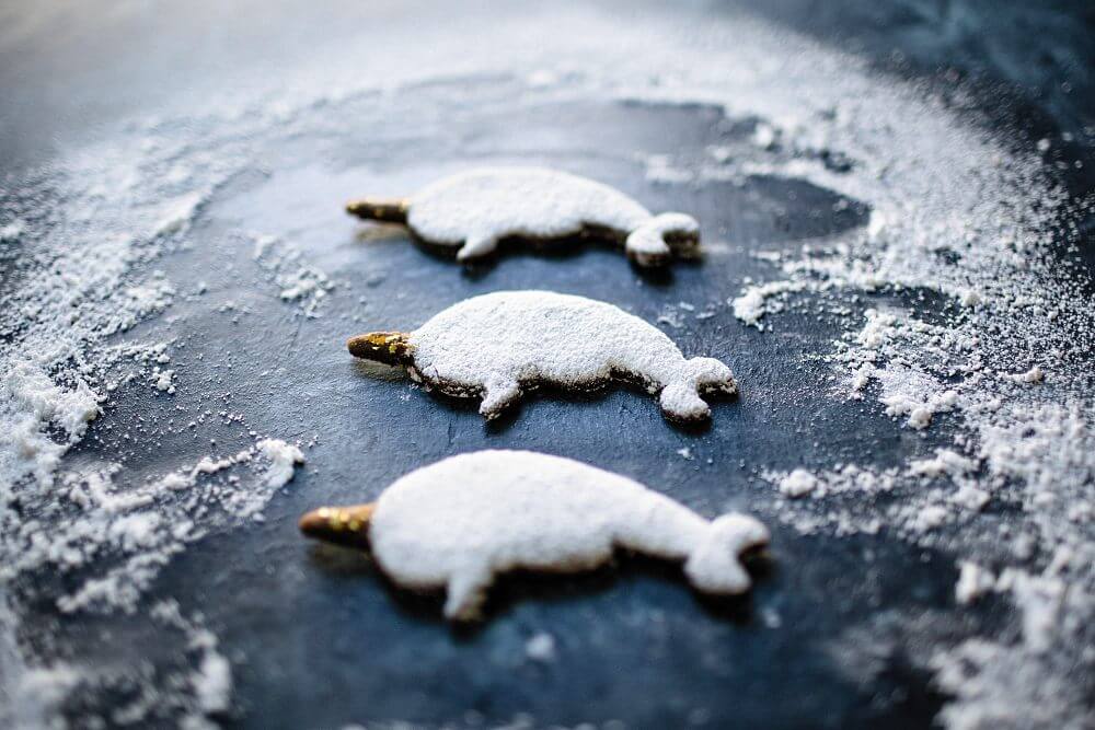 Narwhal Gingerbread Cutout Cookies | A Couple Cooks