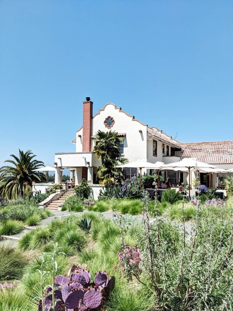 Things to Do in Sonoma Wine Country | Best wineries in Sonoma | Scribe Winery