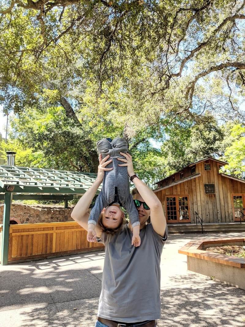 Things to Do in Sonoma Wine Country | Benziger Winery