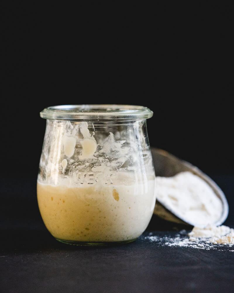 Sourdough starter