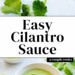 Cilantro Sauce
