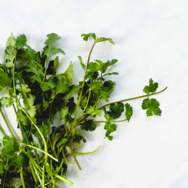 How to Cut Cilantro