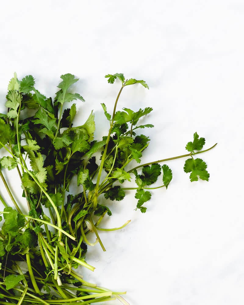 How to cut cilantro