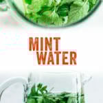 Mint Water