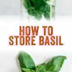 How to Store Fresh Basil