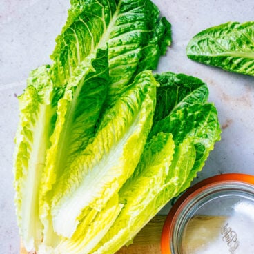 Romaine