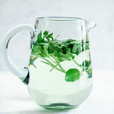 Easy Mint Water Recipe