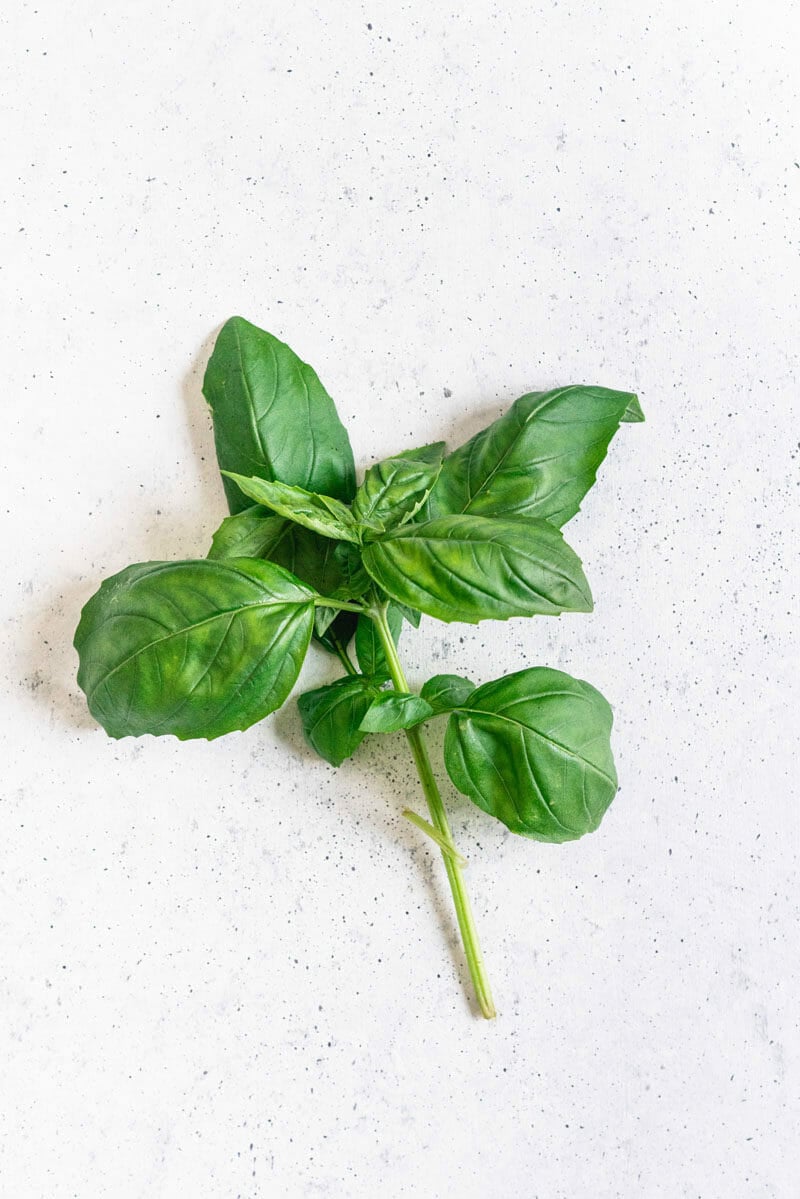 How to grow basil