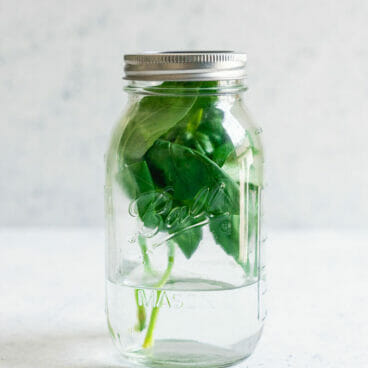 How to store fresh basil