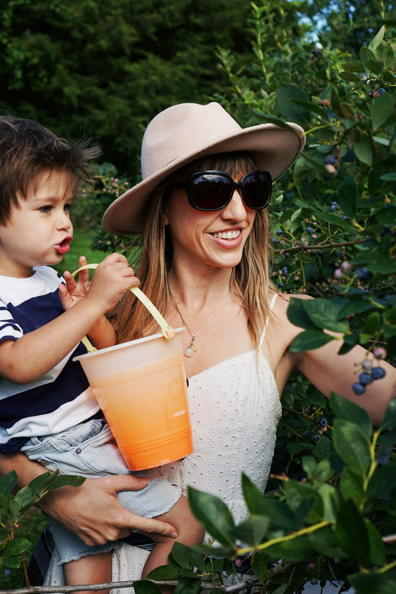 Blueberry picking