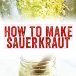 How to Make Sauerkraut