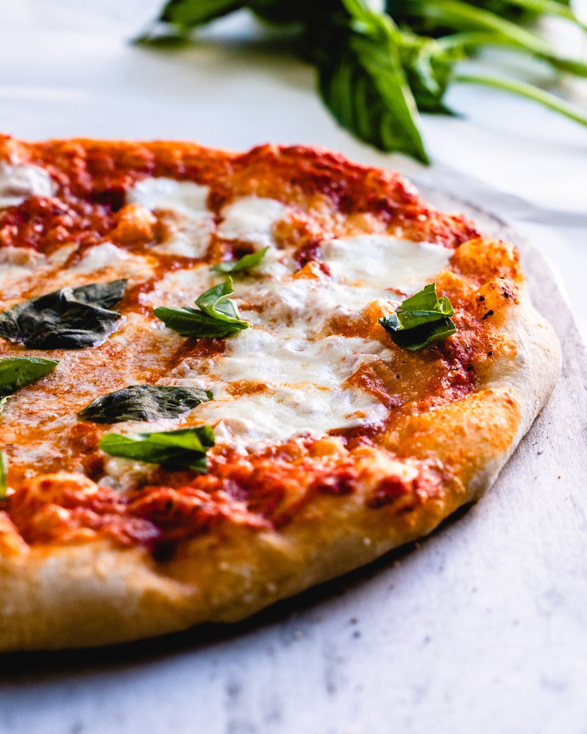 Neapolitan pizza with basil.