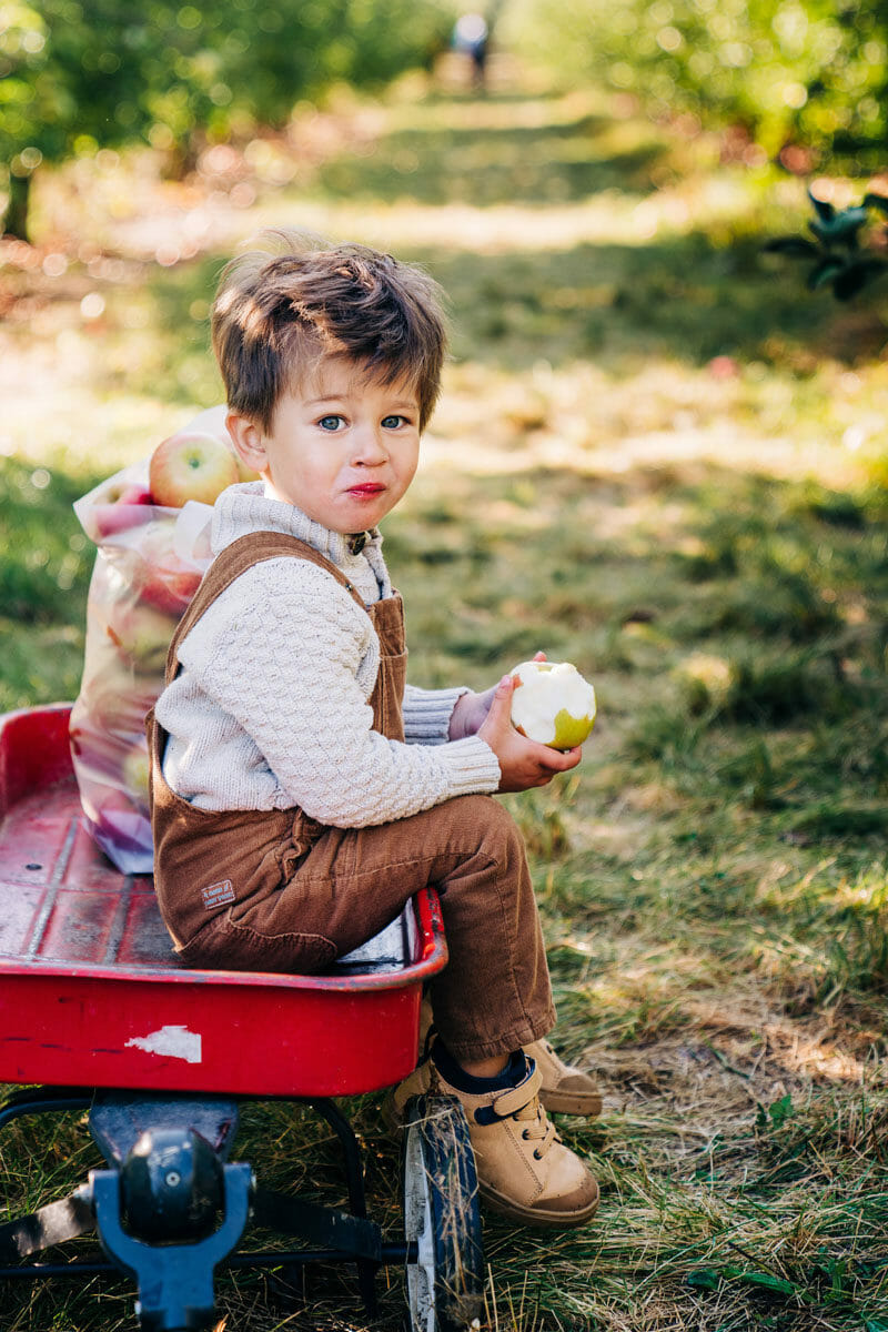 Boy picking apples