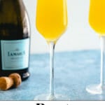 Mimosa