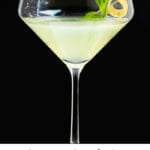 Southside Cocktail