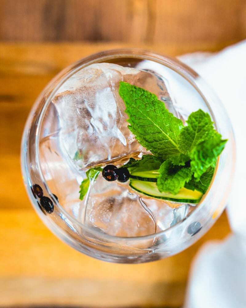 Gin and tonic garnish