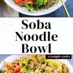 Soba Noodle Bowl