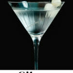 Gibson Cocktail