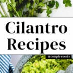 Cilantro Recipes