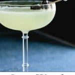Last Word Cocktail