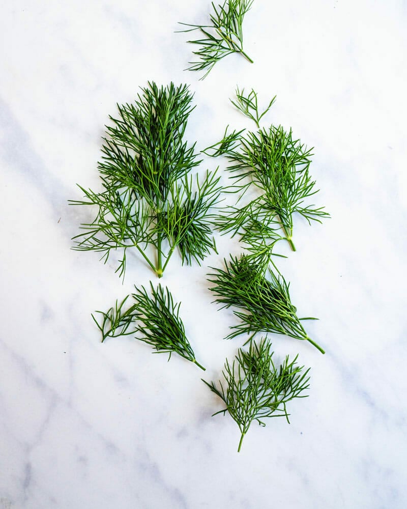 Dill