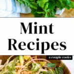 Mint Recipes