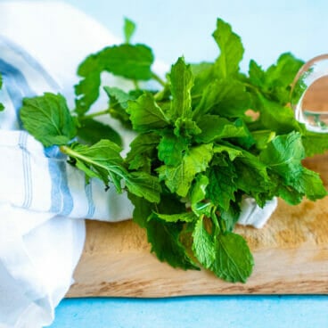 Mint