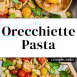 Orecchiette Pasta