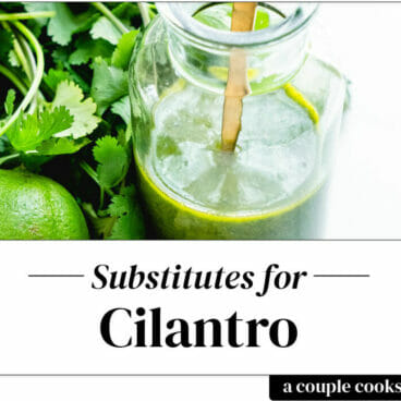 Cilantro Substitute