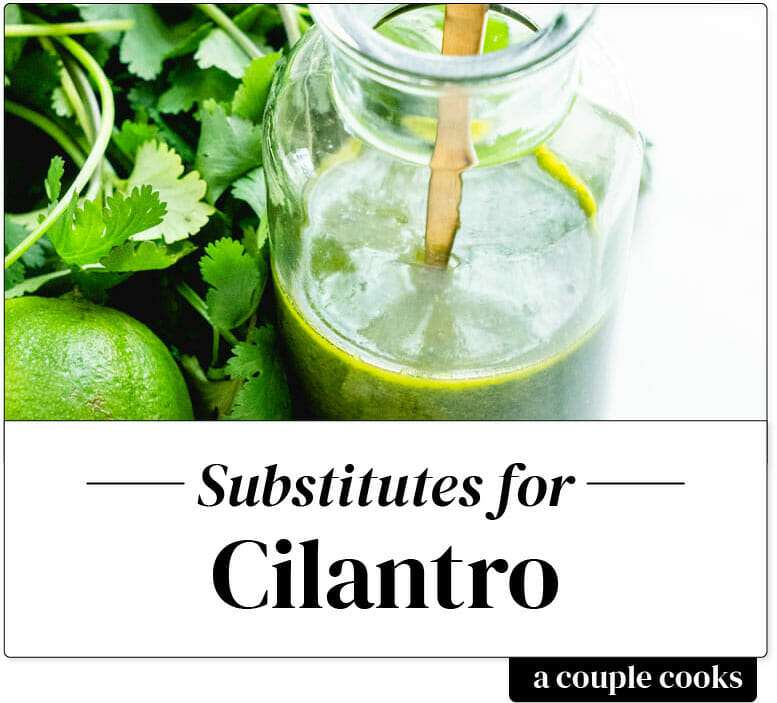 Cilantro Substitute