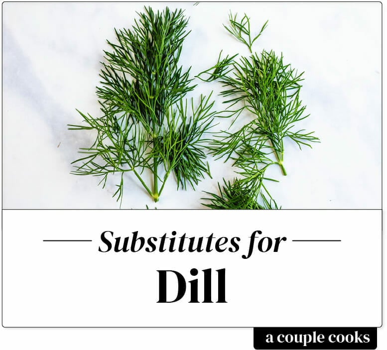 Dill Substitute