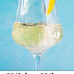 White Wine Spritzer